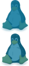 We develop on Linux